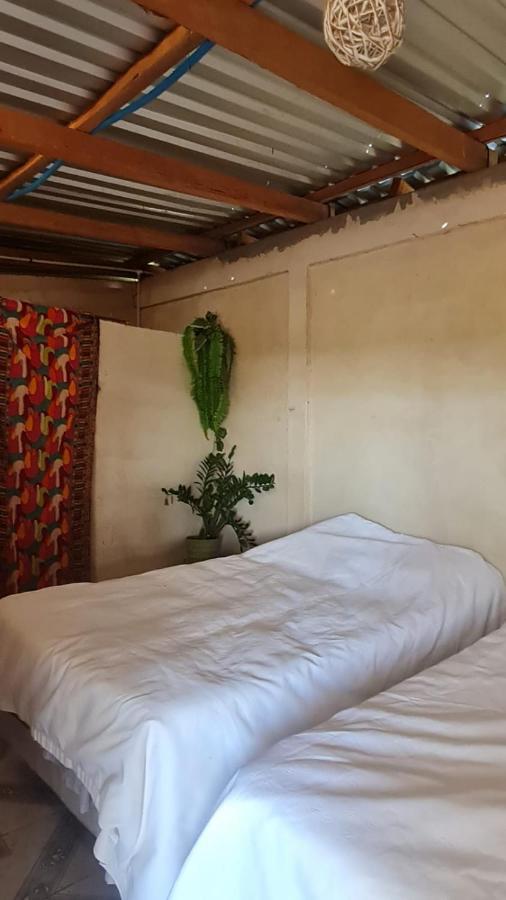 ホテルSurf & Turf Zacatecoluca エクステリア 写真